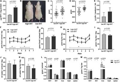 Constitutionally High Serotonin Tone Favors Obesity: Study on Rat Sublines With Altered Serotonin Homeostasis